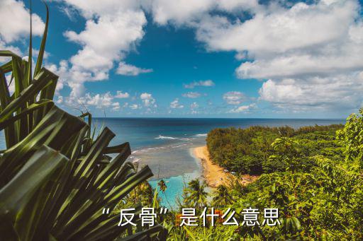 “ 反骨”是什么意思
