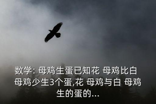 花母雞,本地兩只母雞共用21個雞蛋