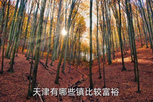 天津有哪些鎮(zhèn)比較富裕