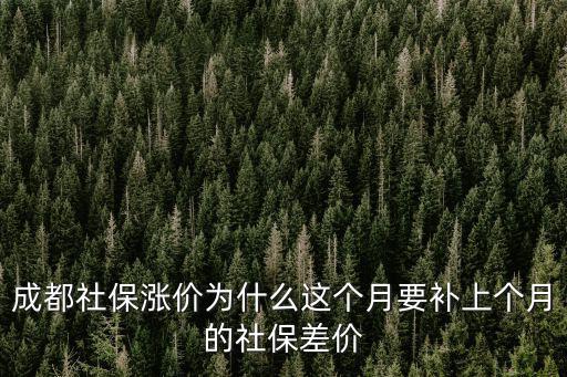 成都社保漲價為什么這個月要補上個月的社保差價