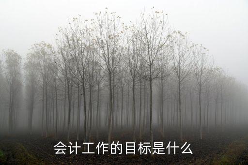 會計(jì)工作的目標(biāo)是什么