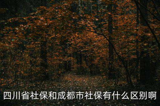 四川省社保和成都市社保有什么區別啊