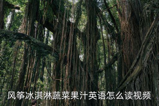 風箏冰淇淋蔬菜果汁英語怎么讀視頻