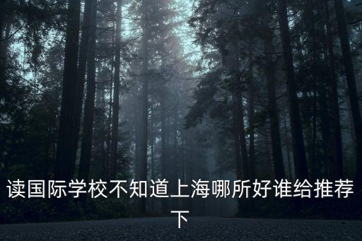讀國際學(xué)校不知道上海哪所好誰給推薦下