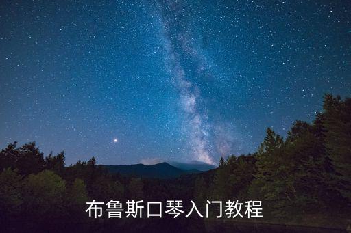 布魯斯口琴入門(mén)教程