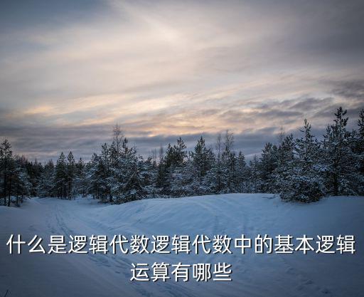 什么是邏輯代數(shù)邏輯代數(shù)中的基本邏輯運(yùn)算有哪些