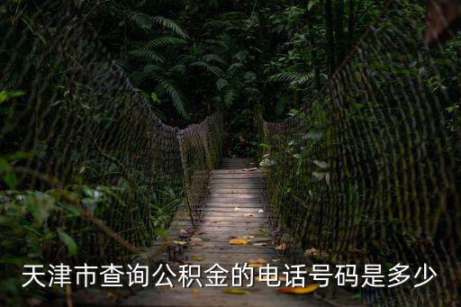 天津市查詢公積金的電話號碼是多少