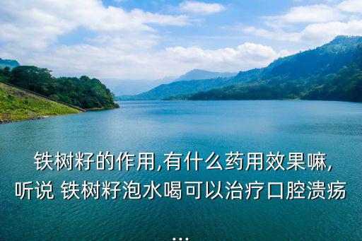  鐵樹籽的作用,有什么藥用效果嘛,聽說 鐵樹籽泡水喝可以治療口腔潰瘍...