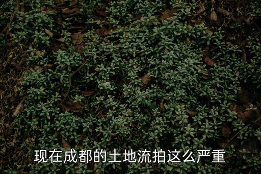 現(xiàn)在成都的土地流拍這么嚴(yán)重