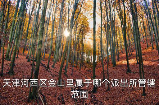 天津河西區金山里屬于哪個派出所管轄范圍