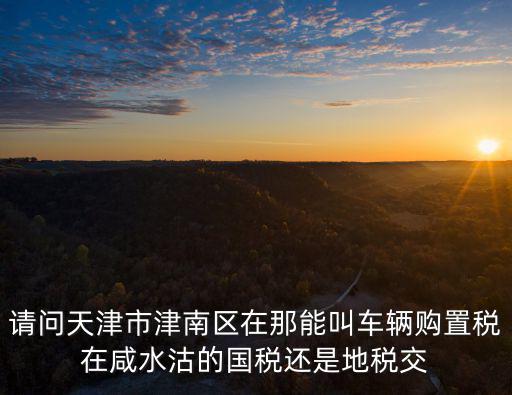 請問天津市津南區在那能叫車輛購置稅在咸水沽的國稅還是地稅交