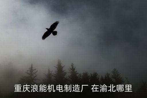重慶市蝸桿工廠，重慶市璧山縣青山機(jī)械廠現(xiàn)在叫什么