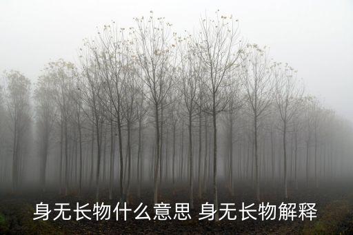 身無長物什么意思 身無長物解釋
