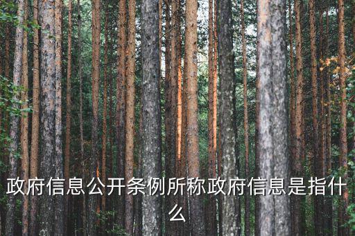 天津市 信息公開規定，信息公開受到哪些方面的法律保障