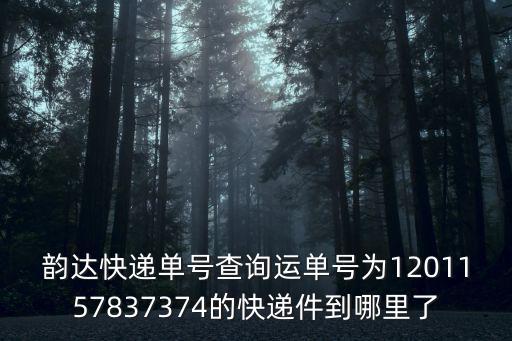 韻達(dá)快遞單號查詢運(yùn)單號為1201157837374的快遞件到哪里了