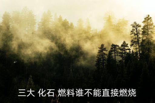 三大 化石 燃料誰不能直接燃燒