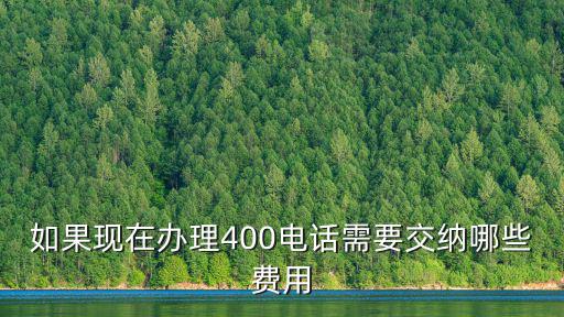 如果現(xiàn)在辦理400電話需要交納哪些費(fèi)用