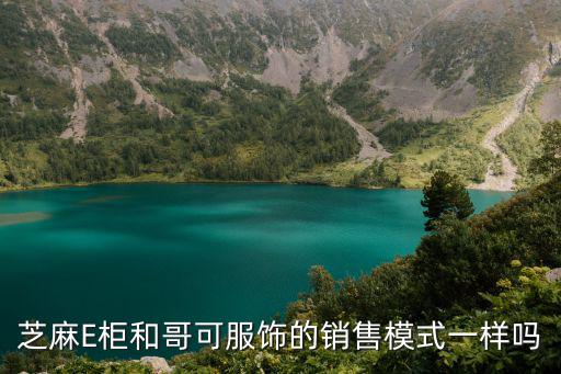 芝麻E柜和哥可服飾的銷售模式一樣嗎
