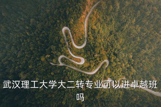 武漢理工大學(xué)大二轉(zhuǎn)專業(yè)可以進(jìn)卓越班嗎