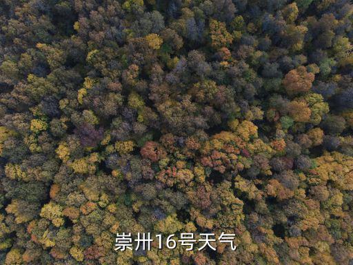 崇卅16號天氣