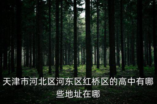 天津市河北區河東區紅橋區的高中有哪些地址在哪