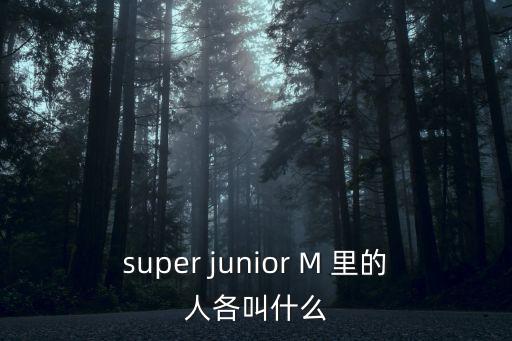 super junior M 里的人各叫什么