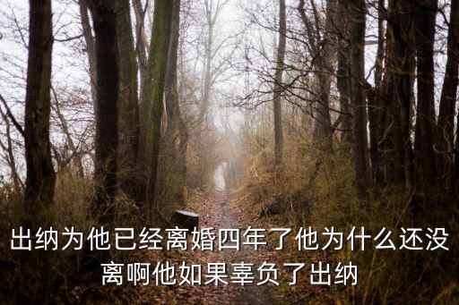 出納為他已經(jīng)離婚四年了他為什么還沒離啊他如果辜負(fù)了出納