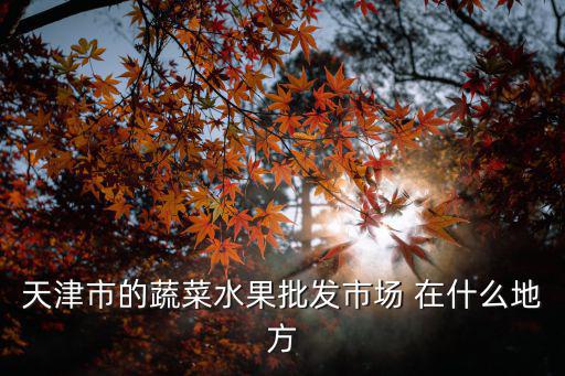 天津市的蔬菜水果批發市場 在什么地方
