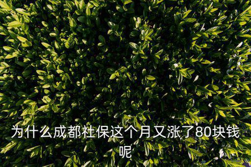 成都市社保怎么又漲了，為什么成都社保這個月又漲了80塊錢呢