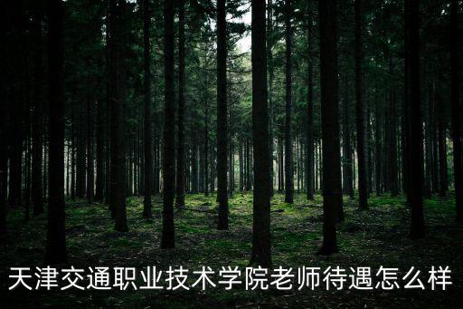 天津交通職業技術學院老師待遇怎么樣