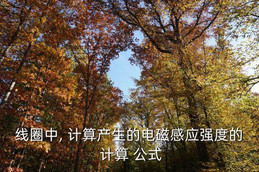 線圈中, 計算產生的電磁感應強度的 計算 公式