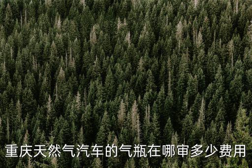 重慶天然氣汽車的氣瓶在哪審多少費用