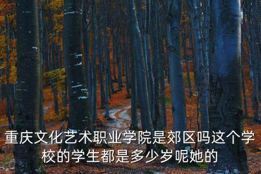 重慶文化藝術職業學院是郊區嗎這個學校的學生都是多少歲呢她的