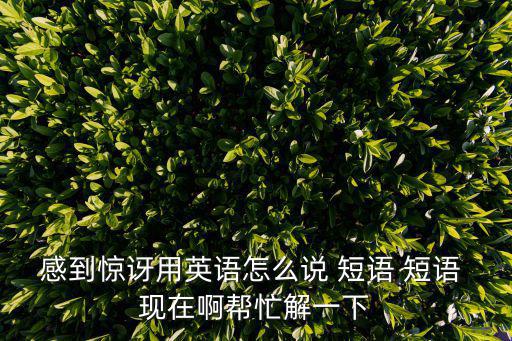 感到驚訝用英語怎么說 短語 短語 現在啊幫忙解一下