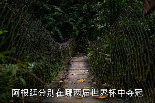 阿根廷分別在哪兩屆世界杯中奪冠
