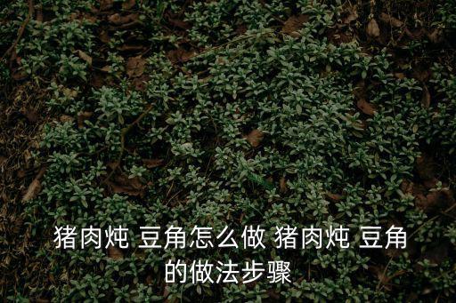  豬肉燉 豆角怎么做 豬肉燉 豆角的做法步驟