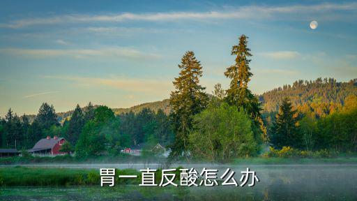胃一直反酸怎么辦