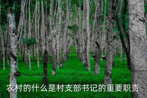 農村的什么是村支部書記的重要職責