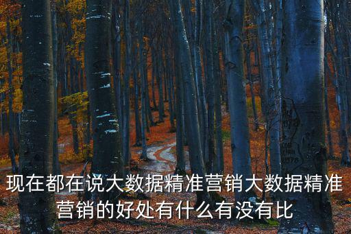 精準營銷案例，現在都在說大數據精準營銷大數據精準營銷的好處有什么有沒有比