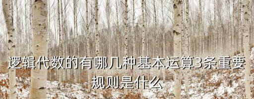 邏輯代數(shù)的有哪幾種基本運(yùn)算3條重要規(guī)則是什么