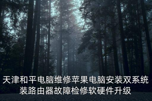 天津和平電腦維修蘋果電腦安裝雙系統裝路由器故障檢修軟硬件升級