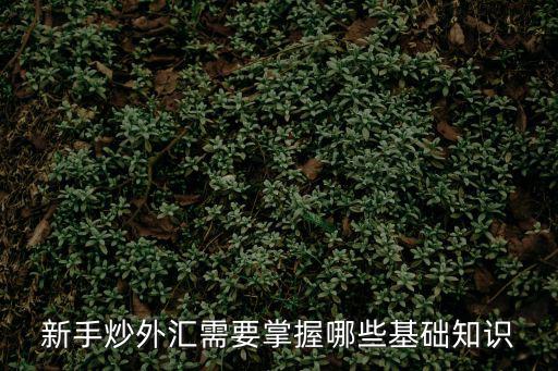 新手炒外匯需要掌握哪些基礎(chǔ)知識