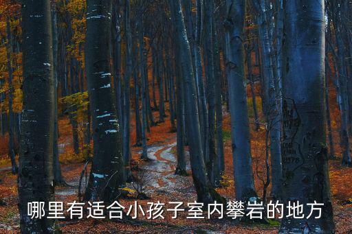 哪里有適合小孩子室內(nèi)攀巖的地方
