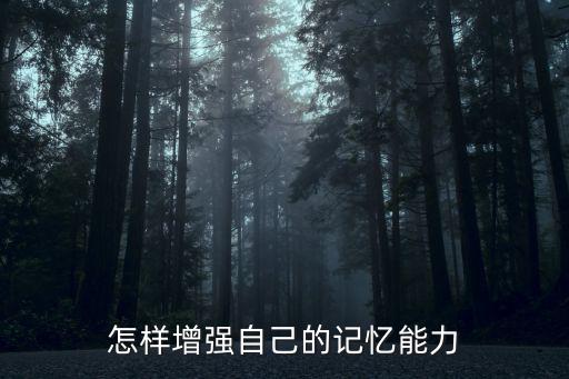 怎樣增強自己的記憶能力