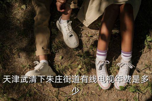 天津武清下朱莊街道有線電視年費(fèi)是多少