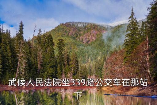 武候人民法院坐339路公交車在那站下