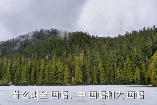 什么叫全 畫(huà)幅、中 畫(huà)幅和大 畫(huà)幅