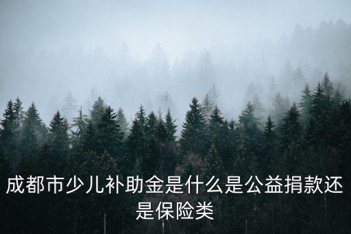 成都市少兒補(bǔ)助金是什么是公益捐款還是保險(xiǎn)類