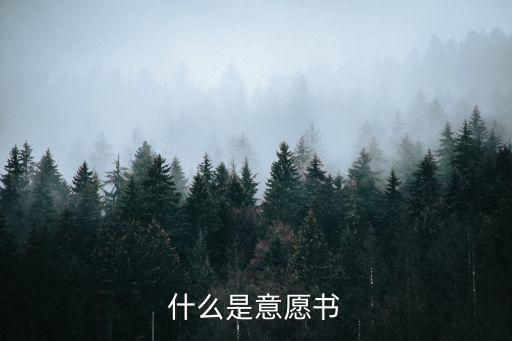 什么是意愿書