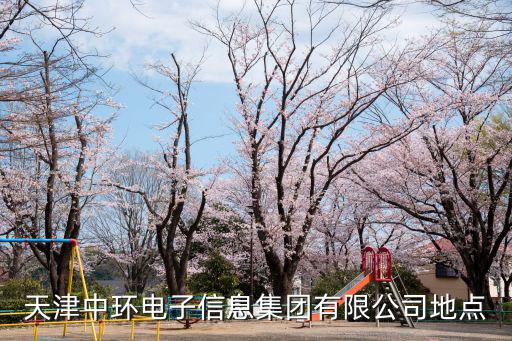 天津市中環(huán)電子照明科技有限公司，天津中環(huán)電子有限責(zé)任公司待遇怎么樣